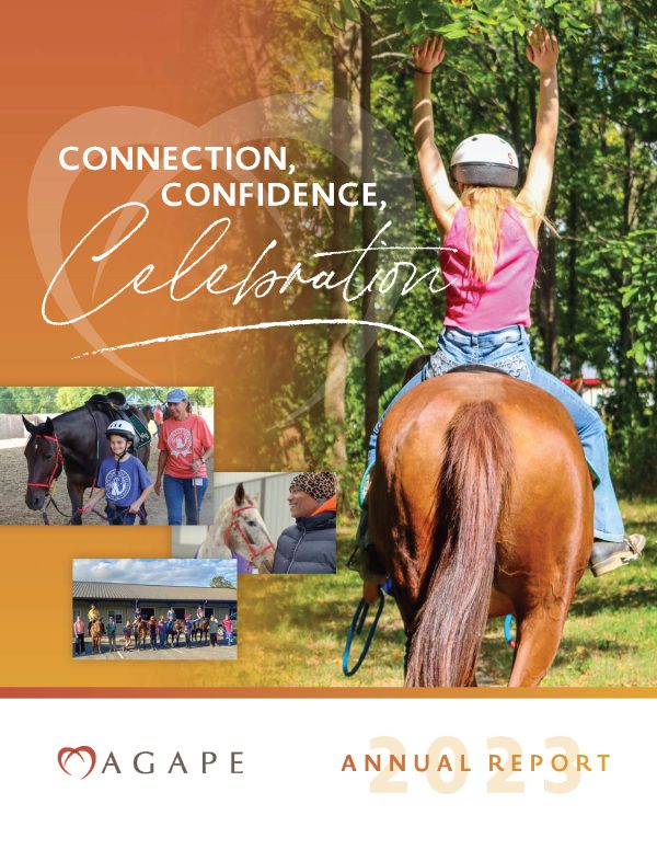 AGP_AnnualReport2023_digital_Page_01